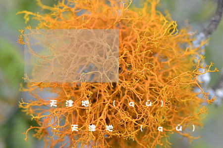 天津地區(qū)債務繼承律師大概多少錢-天津地區(qū)債務繼承律師大概多少錢啊