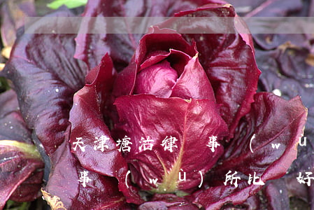 天津塘沽律師事務(wù)所(天津塘沽律師事務(wù)所比較好)