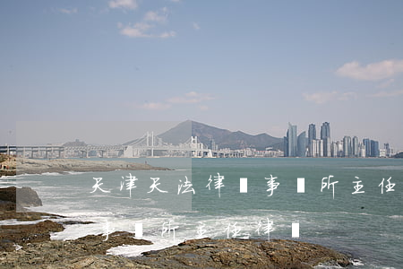 天津天法律師事務所 主任律師(天津天法律師事務所 主任律師)
