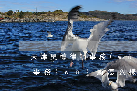 天津奧德律師事務(wù)所(天津奧德律師事務(wù)所怎么樣)