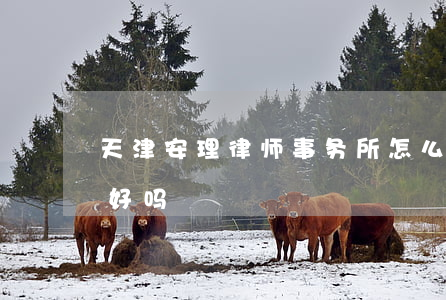 天津安理律师事务所怎么样(安理律师事务所好吗)