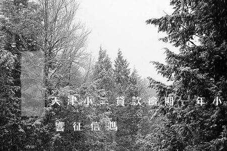 天津小二貸款逾期一年(小額貸款逾期兩天影響征信嗎)