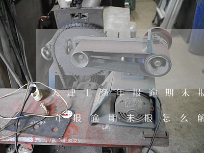 天津工商年报逾期未报怎么解决-天津工商年报逾期未报怎么解决的