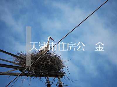 天津市住房公積金