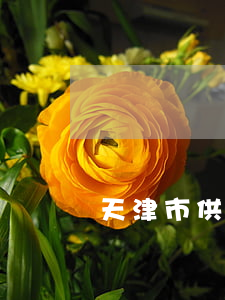 天津市供電用電條例最新修正版【全文】