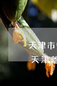 天津市婚外情離婚律師多少錢(qián)(天津離婚政策)