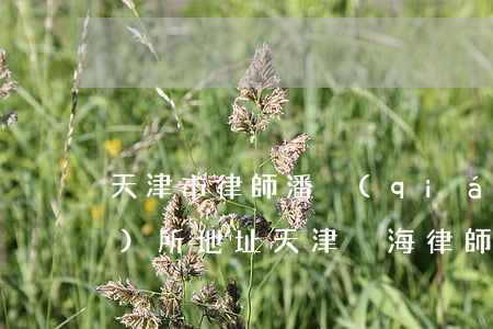 天津市律師潘強(qiáng)事務(wù)所地址(天津靜海律師)