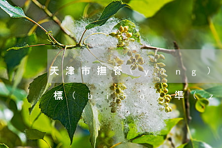 天津市撫養(yǎng)費(fèi)最低標(biāo)準(zhǔn)2020(2020年河北撫養(yǎng)費(fèi)標(biāo)準(zhǔn))