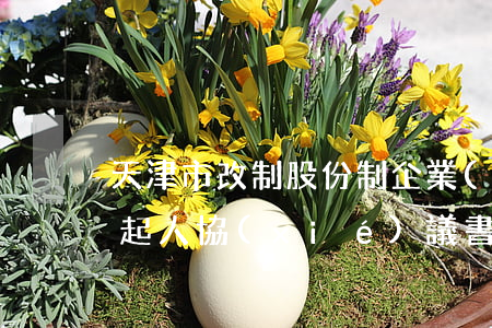 天津市改制股份制企業(yè)發(fā)起人協(xié)議書