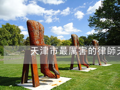 天津市最厲害的律師(天津最有名的律師)