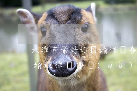 天津市最好的離婚律師事務(wù)所(天津婚姻律師事務(wù)所排名)
