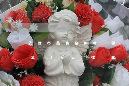 天津市最有名的律師事務所是哪個(天津市河北區(qū)律師事務所前十名)