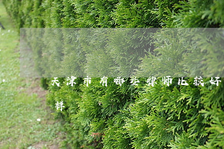 天津市有哪些律师比较好(在天津做律师怎么样)