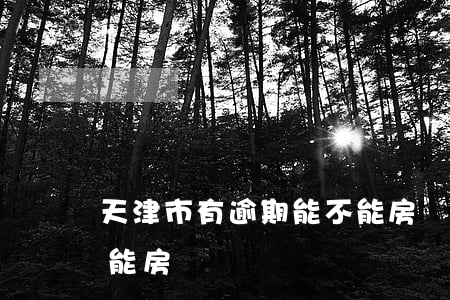 天津市有逾期能不能房貸(天津市有逾期能不能房貸)