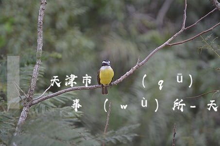 天津市東麗區(qū)債務(wù)追討律師事務(wù)所-天津市東麗區(qū)債務(wù)追討律師事務(wù)所地址