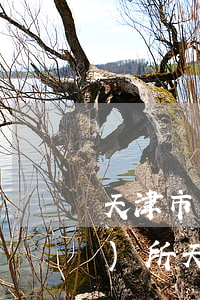 天津市東麗區(qū)秦天律師事務(wù)所(天津東麗人民法院官網(wǎng))