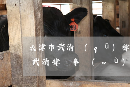 天津市武清區(qū)律師事務(wù)所(武清律師事務(wù)所有幾家,都在哪)