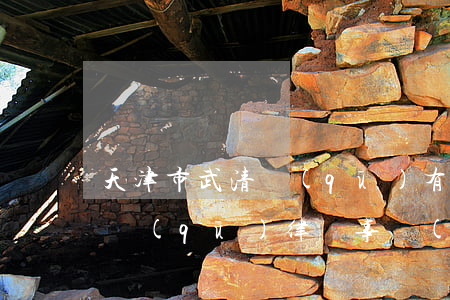 天津市武清區(qū)有名律師(天津市河北區(qū)律師事務(wù)所前十名)