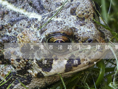 天津市法政牛津律師事務(wù)所(天津秦天律師事務(wù)所)