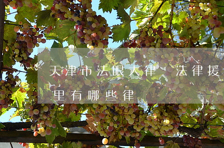 天津市法眼大律師法律援助(天津法眼大律師里有哪些律師)