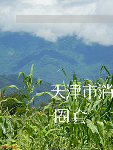天津市消協(xié)提示：買手機莫入五個圈套