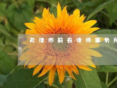 天津市蓟县律师事务所(天津天关律师事务所)