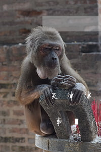天津 律師事務(wù)所(北京煒衡天津律師事務(wù)所)