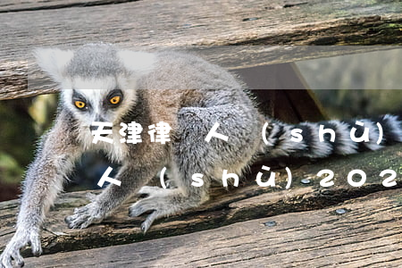 天津律師人數(shù)2020(天津律師人數(shù)2020)