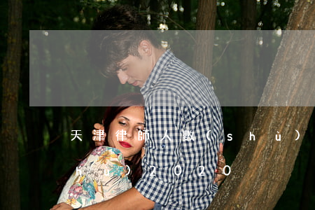 天津律師人數(shù)(天津律師人數(shù)2020)