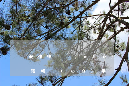 天津律師協(xié)會(huì)綜合管理服務(wù)平臺(tái)(天津律師協(xié)會(huì)綜合管理服務(wù)平臺(tái)電話)