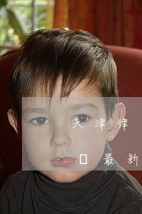 天津律師收費標準2020(天津律師收費標準最新)