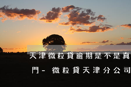天津微粒貸逾期是不是真的會(huì)上門-微粒貸天津分公司