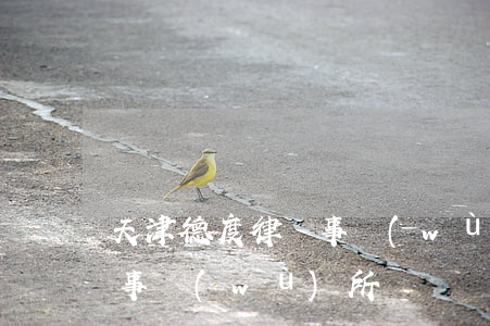 天津德度律師事務(wù)所(天津赫德律師事務(wù)所)
