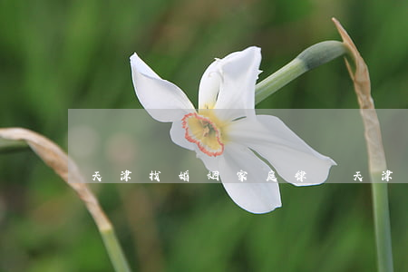 天津找婚姻家庭律師(天津婚姻介紹所)