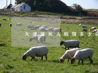 天津撞死人賠償多少錢(撞死人賠償多少錢?)