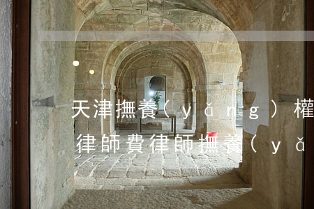 天津撫養(yǎng)權(quán)糾紛律師費(律師撫養(yǎng)費官司,給付律師多少錢)