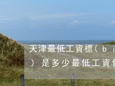 天津最低工資標(biāo)準(zhǔn)是多少（最低工資包含五險(xiǎn)一金嗎）