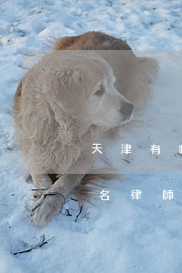 天津有哪些律師事務(wù)所靠譜(天津有名律師)