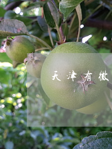 天津有微粒貸嗎逾期了怎么辦