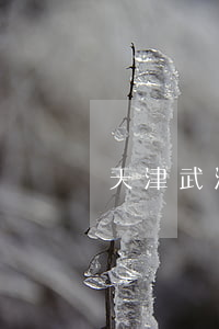 天津武清債務債權律師(天津債權債務的好律師)