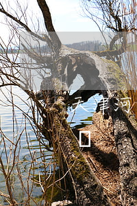 天津河北區(qū)債務律師-天津債權律師