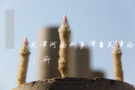 天津河西刑事律師(天津西青律師事務(wù)所)