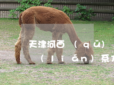 天津河西區(qū)債務(wù)繼承律師聯(lián)系方式-天津河西區(qū)債務(wù)繼承律師聯(lián)系方式電話