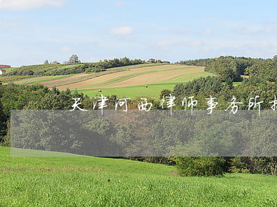 天津河西律师事务所排行