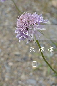 天津津聯律師事務所(天津津聯律師事務所官網)