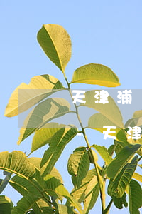 天津浦發(fā)銀行信用卡還不上怎么辦-天津浦發(fā)銀行信用卡還不上怎么辦呢