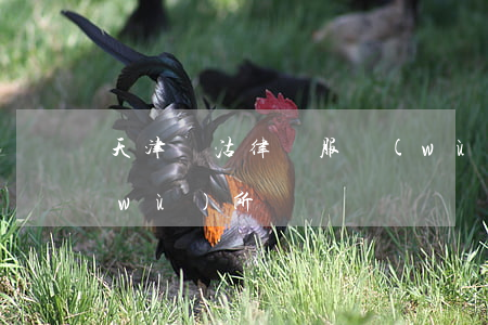 天津漢沽律師服務(wù)(塘沽律師事務(wù)所)