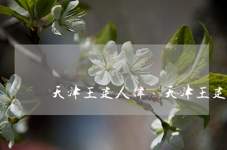天津王建人律師(天津王建人律師)