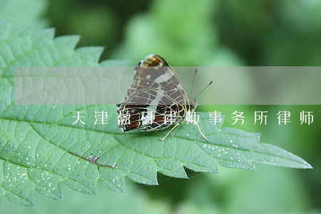 天津盈科律师事务所律师名单