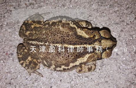 天津盈科律師事務(wù)所口碑怎么樣